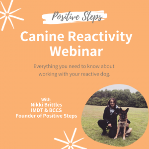canine reactivity webinar