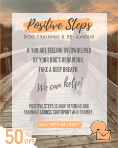 dog training in southport and Formby